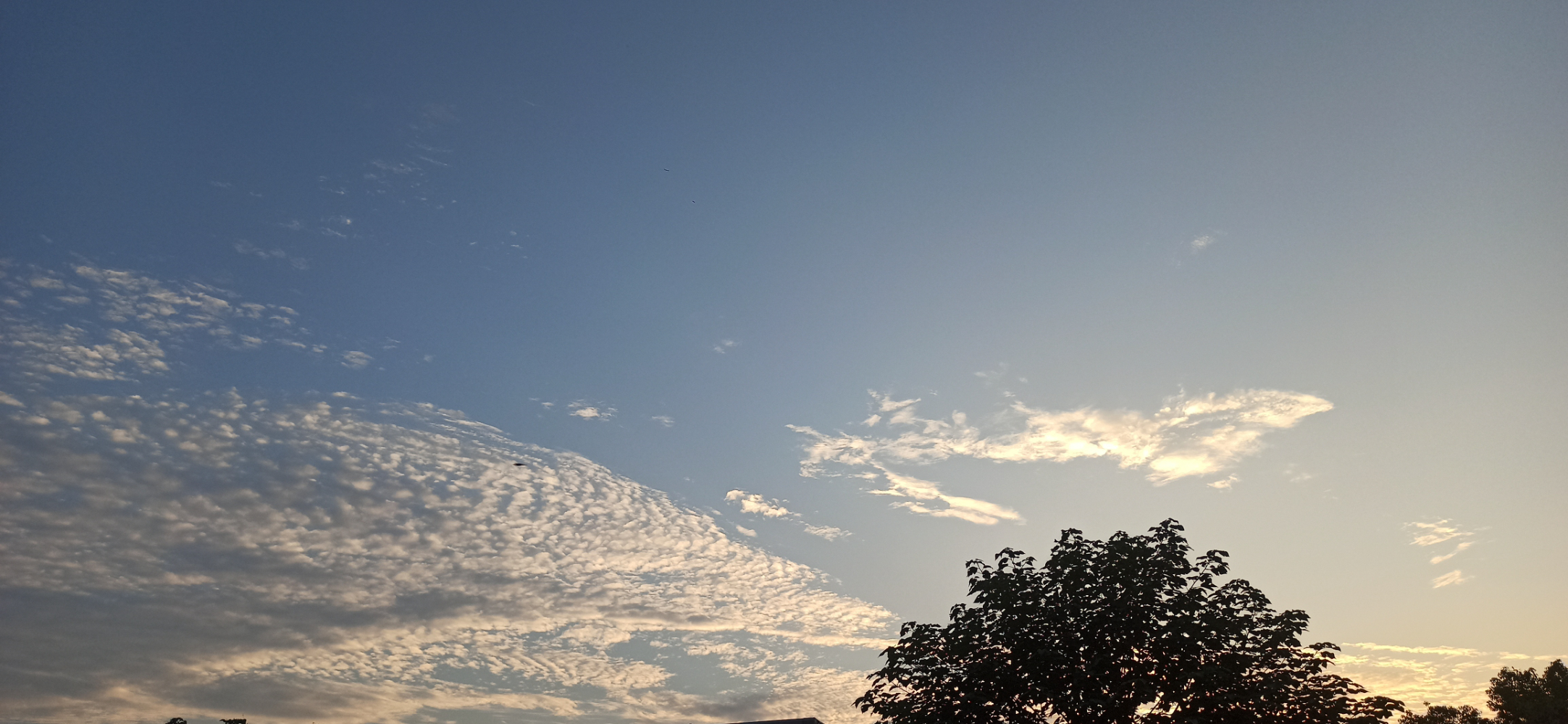 IMG_20231026_173820.jpg