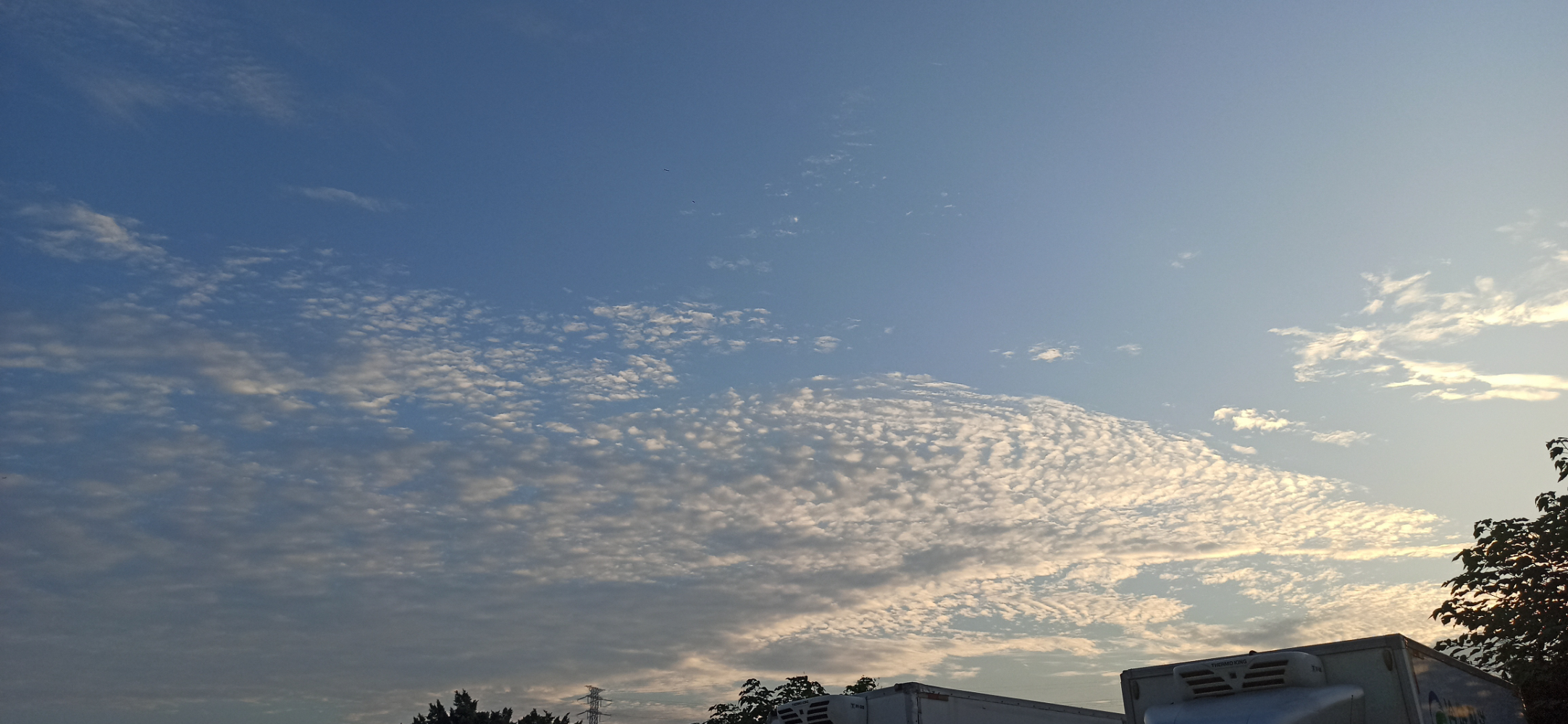 IMG_20231026_173817.jpg