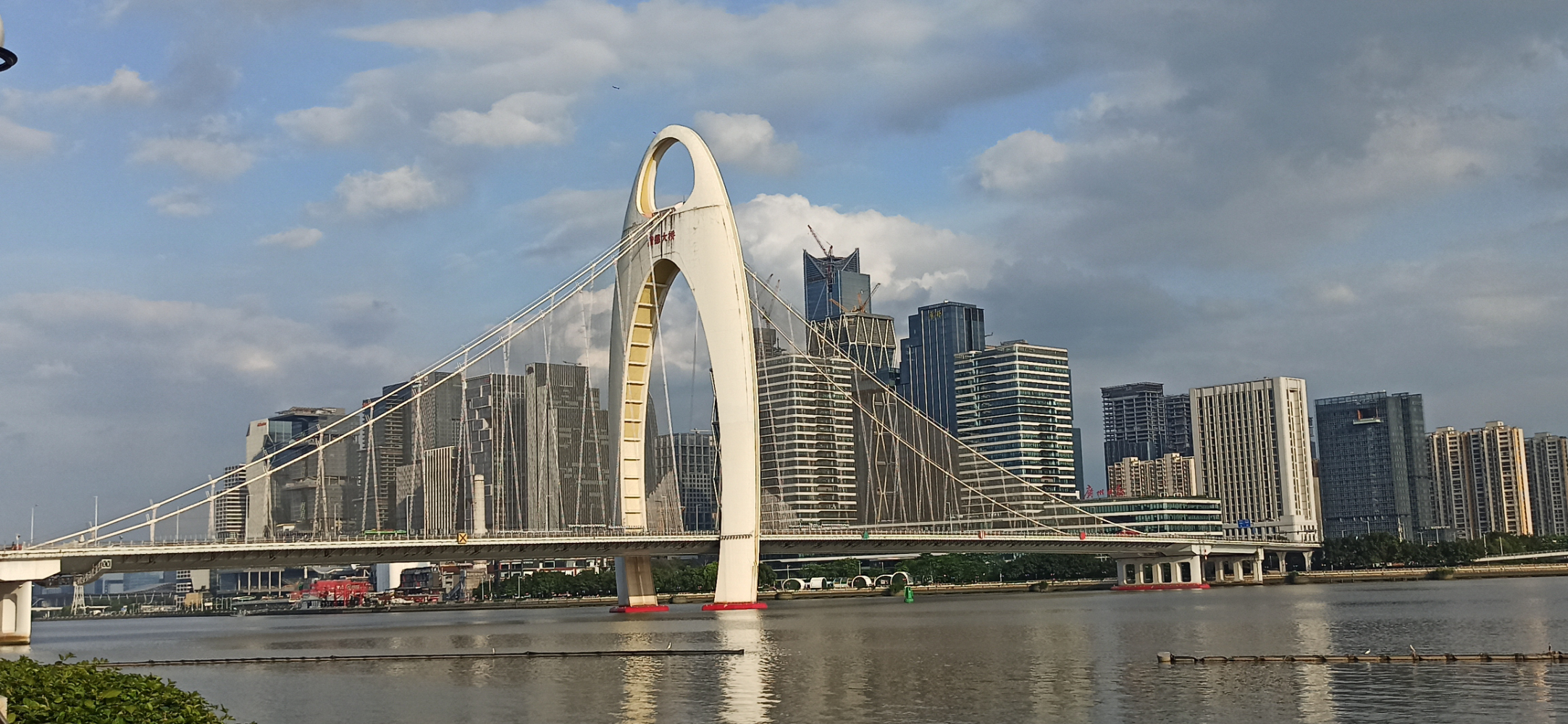 IMG_20240602_173517.jpg