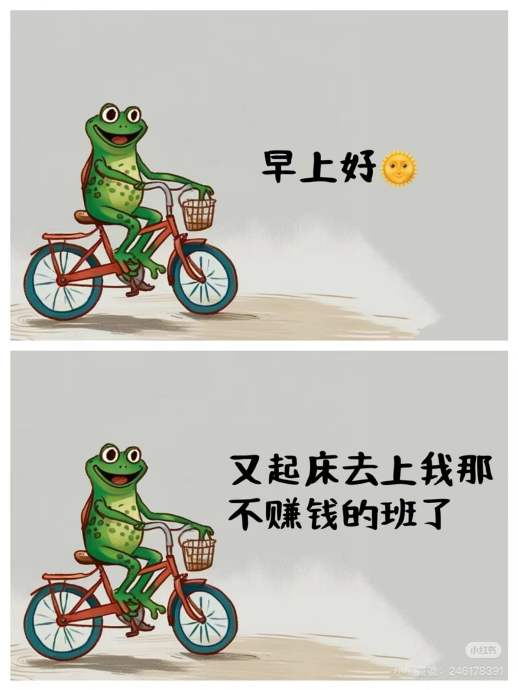 mmexport1731288620864.jpg