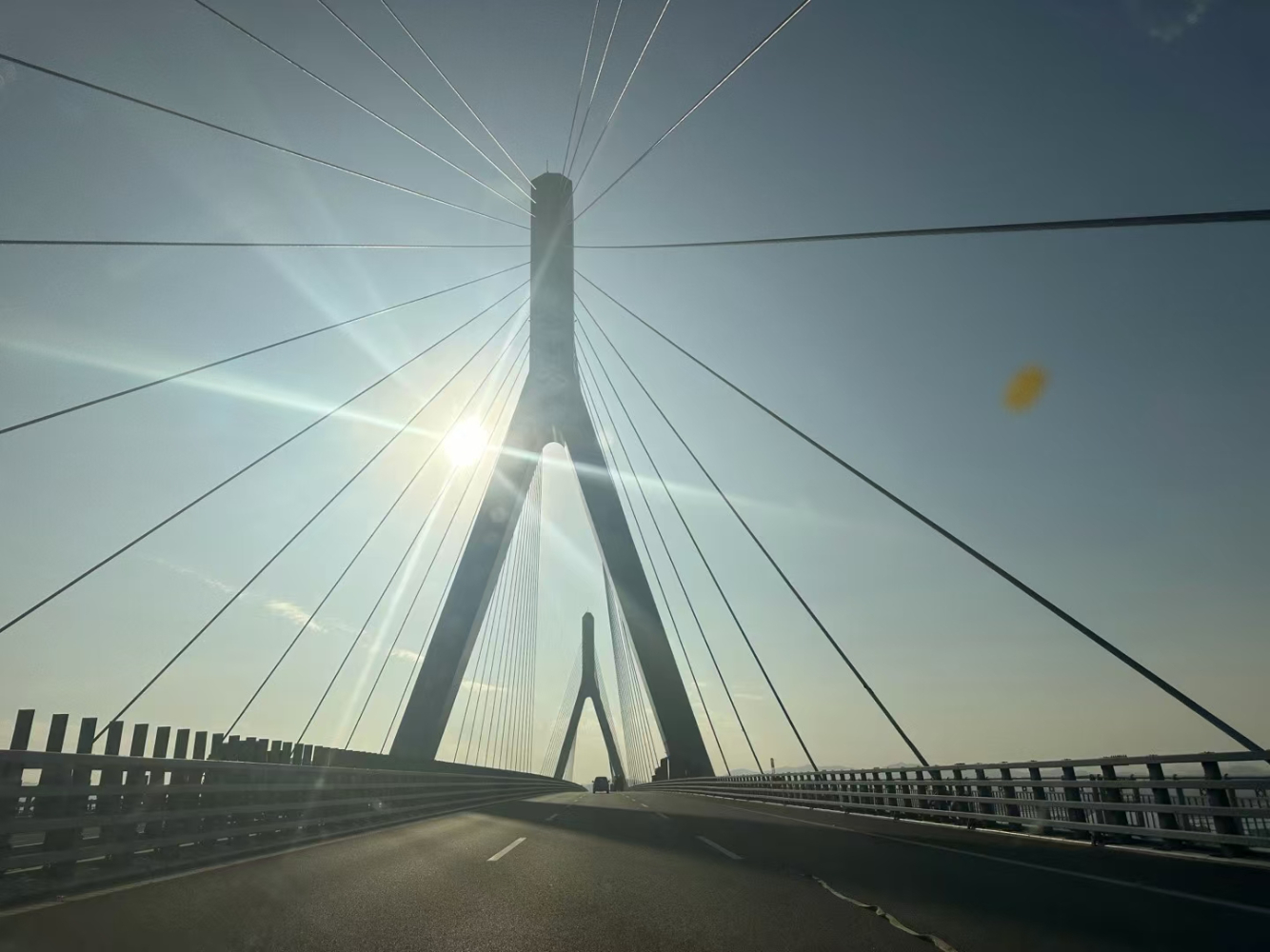 mmexport1733309567879.jpg