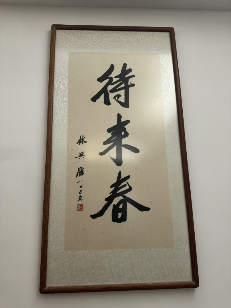 mmexport1733310029378.jpg